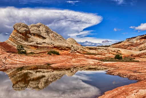 Arizona Red, White, and Blue - White Pocket, Vermilion Cliffs National Monument