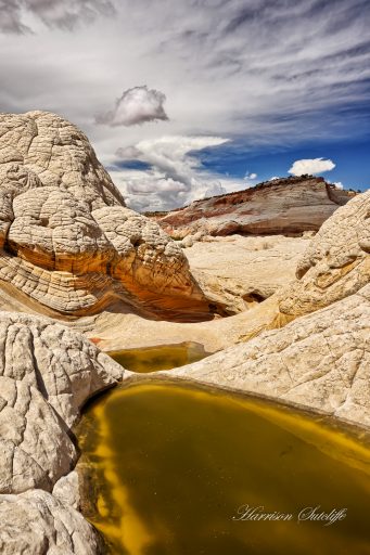 Descending pockets - White Pocket, Vermilion Cliffs National Monument