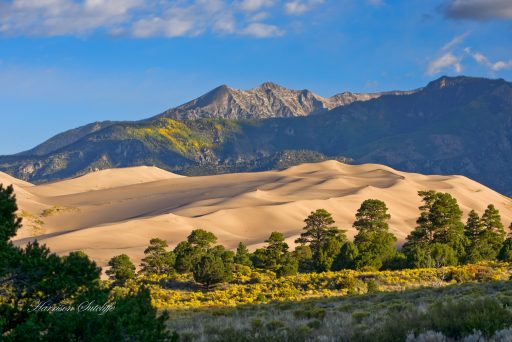 Early morning light at Great Sand Dunes, National Park, CO