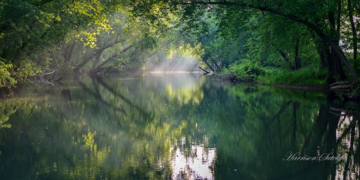 Arkansas, Kings River