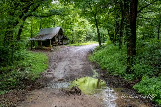 Old shed in the Ozark National Forest